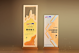 九州ku游官网国际一举斩获“2024年度中国区最佳雇主”等多项大奖